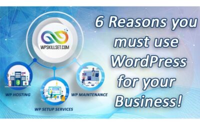 Why Use WordPress for your Business?
